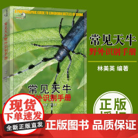 好奇心书系 常见天牛野外识别手册 林美英 天牛爱好者初级读物 科普读物书籍 生物世界 重庆大学出版社
