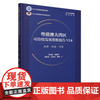 粤港澳大湾区可持续发展指数报告(V2.0趋势经验对策)/