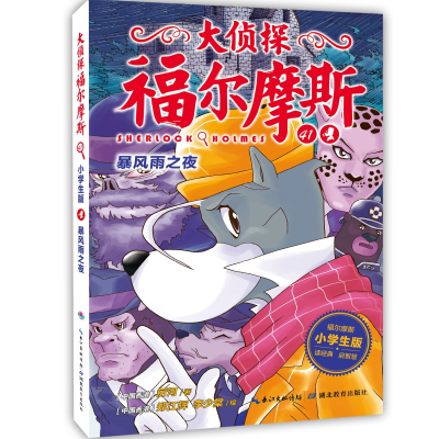 正版新书]暴风雨之夜 小学生版厉河 著9787556432493