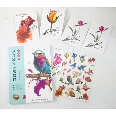 超写实的花鸟彩铅手绘教程