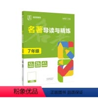 七年级 初中通用 [正版]2024新版 初中专项系列 名著导读与精练 语文 789七八九年级 初一二三总复习资料名著考点