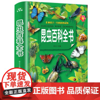 昆虫百科全书幼儿科普书籍小学生昆虫大百科图鉴6-12岁青少年儿童百科全书二三四五六年级课外书必读写给儿童的图书故事书精装