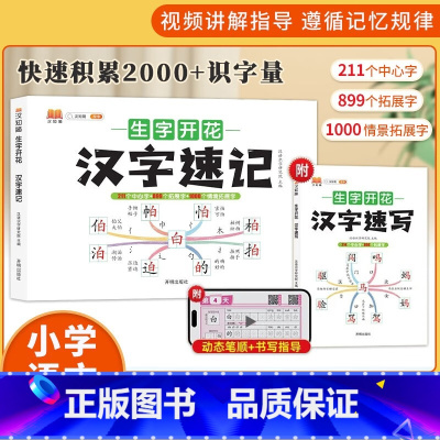 汉字速记+速写 小学通用 [正版]生字开花汉字速记速写 小学生语文1-6年级认识汉字偏旁部首结构思维导图 快速记汉字识字