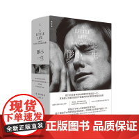 渺小一生(2025新版)[美] 柳原汉雅 蔡康永 四个好友三十年人生起落的友谊史诗 Apple年度文学类图书第1名 理想