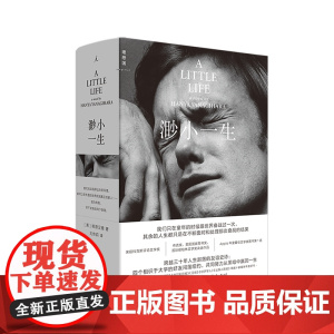 渺小一生(2025新版)[美] 柳原汉雅 蔡康永 四个好友三十年人生起落的友谊史诗 Apple年度文学类图书第1名 理想