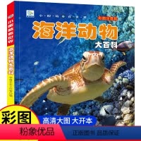 [彩图注音]海洋动物大百科 [正版]海洋动物大百科 彩绘注音版7-8-9岁儿童百科全书鱼类动物植物一二年级小学生课外书籍