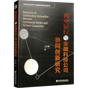 正版新书]商业银行与金融科技公司协同创新研究王小彩9787509693