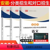 [试卷]语文+数学+英语 安徽省 [正版]库课2024年安徽省分类招生和中职生对口升学考试语文英语数学全真模拟预测试卷单