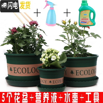 三维工匠塑料玫瑰盆栽花肉肉绿萝月季专用加伦树脂家用特大 [5个盆]+营养液+水壶+工具 矮胖1.7L(口径15.花盆容器