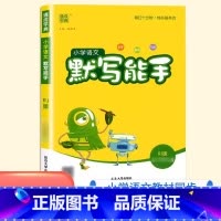 [默写能手]语文人教版 六年级下 [正版]三年级下册拔尖特训一年级二年级四五六年级上册语文数学英语人教版pep北师大苏教