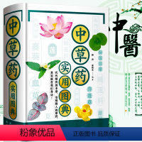 [正版]书中草药实用图典 中药入门书中草药百科图谱 医学中草药彩色图谱 常见中草药实用图书 中草药百科全书籍福建科技出