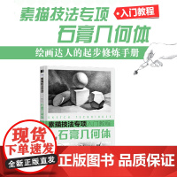 素描技法专项入门教程 石膏几何体 素描速写静物石膏几何体美术绘画临摹画册素描基础教程素描书入门