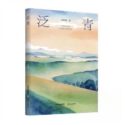 正版新书]泛青王纪峰 著9787537868679