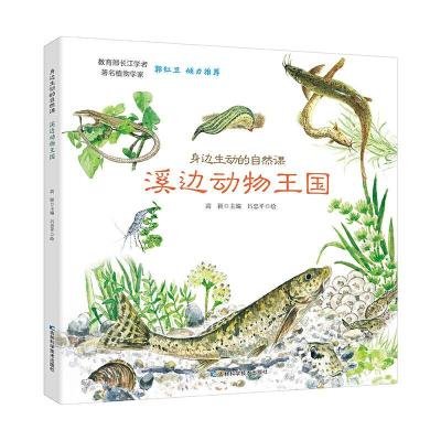 正版新书]身边生动的自然课-溪边动物王国高颖9787557852559