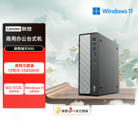 联想(Lenovo)瑞天500 台式电脑主机 (I5-13450HX 16G 512G SSD Win11)商用办公学习娱乐