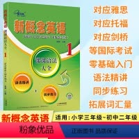 新概念英语 课课语法大全1 [正版]新概念英语 课课语法大全1 语法精讲同步练习 新概念英语第一册语法强化训练复习资料辅