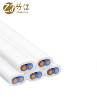 竹江 护套软线 RVV-2*2.5-300/500V 米