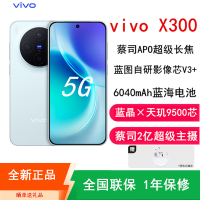 [全新]vivo X300 自在蓝 16GB+512GB 蓝晶×天玑9500芯 大电池 90W快充 支持无线充电 蔡司超级潜望长焦 拍照 AI手机