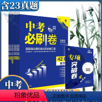 语文 河北省 [正版]河北专版2024新版河北中考必刷卷42套语文数学英语物理化学道德与法治历史初三九年级历年真题试卷模