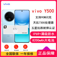 [全新]vivo Y500 冰川蓝 8GB+256GB 天玑7300 5G芯 8200mAh电池 90W充电 高清影像 5G 手机