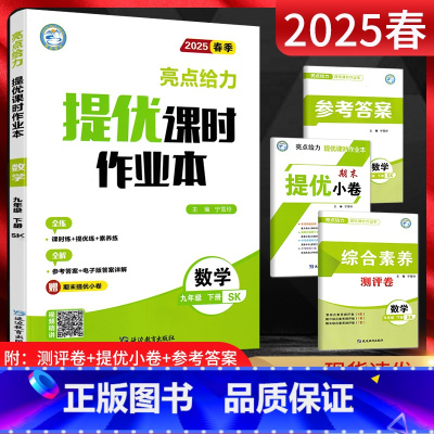 数学 九年级下 [正版]江苏版2025春亮点给力提优课时作业本九年级下册数学苏科版SK 初三9年级下苏教版同步课时训练辅
