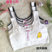锦铭七玥鸡彩边加大码X背心裹胸胖MM运动棉质舒适少女发育期内衣