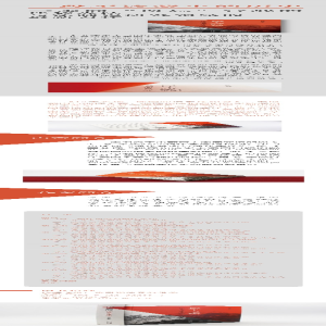 [M]民主之殇 德国宪法史反思录-9787100208994