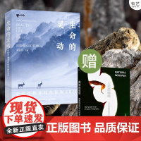 []店 生命的灵动 中国生物多样性影像20年 随书《自然的呢喃》野生动物摄影 奚志农 摄影书 电子工业出版社