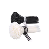 菲尔阿扎 PHIL ARZA 尼龙扎带 8*450mm/包