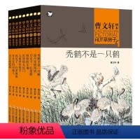 [正版]曹文轩草房子画本系列书全套9册 四五六年级课外书必读老师班主任的小学生阅读书籍6-7-10-12-15岁儿童文