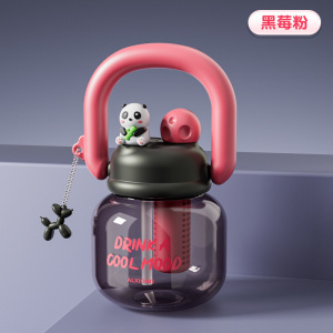 梵澜狸大肚吸管杯塑料水杯YQ47 个