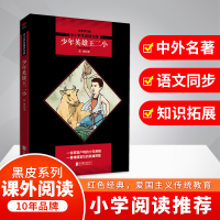 音像少年英雄王二小陈模 著