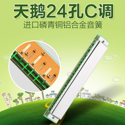 天鹅口琴儿童24孔复音C调口琴初学者学生学生初学练习乐器