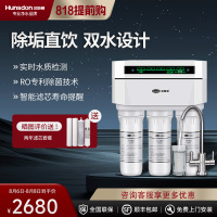 汉斯顿/Hunson家用厨下直饮RO反渗透净水器净水机1503 双膜双水直饮 滤芯更换提醒