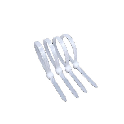 菲尔阿扎 PHIL ARZA 尼龙扎带 10*1000mm/根