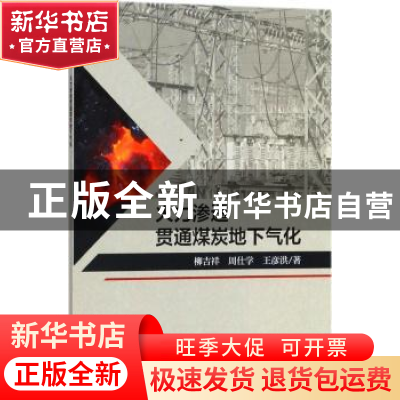 正版 火力渗透贯通煤炭地下气化 柳吉祥,周仕学,王彦洪著 科学
