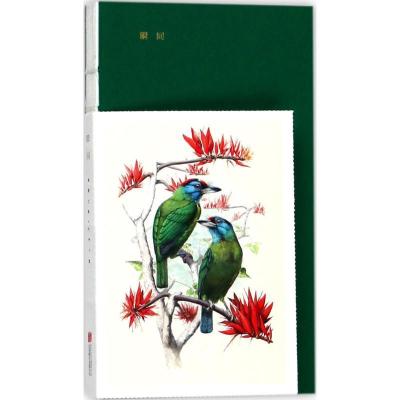 正版新书]瞬间自然艺术联合会9787559614964