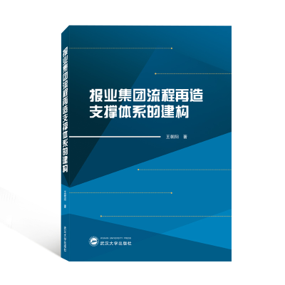 正版新书]报业集团流程再造支撑体系的建构王朝阳9787307225305
