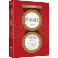 正版新书]微山湖上邱勋 著9787559649188