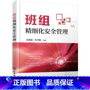 [正版]班组精细化安全管理 班组安全精细化管理要求与方法 班组安全文化建设 企业班组长班组员工参考 企业各级管理者参考