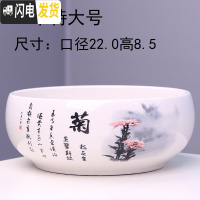 三维工匠大号铜钱水培花盆陶瓷金钱简约水养一叶莲碗莲水仙花 水培(菊花)一个特大号 大花盆容器