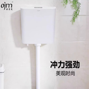 欧吉美 蹲便器节能水箱 厕所冲水箱双按式新型水箱 浴室冲水箱 OJM-09