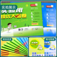 [2本套装]语文人教版+数学北师大版 二年级上 [正版]2023年秋 小学实验班提优大考卷二年级上册语文人教数学北师大2