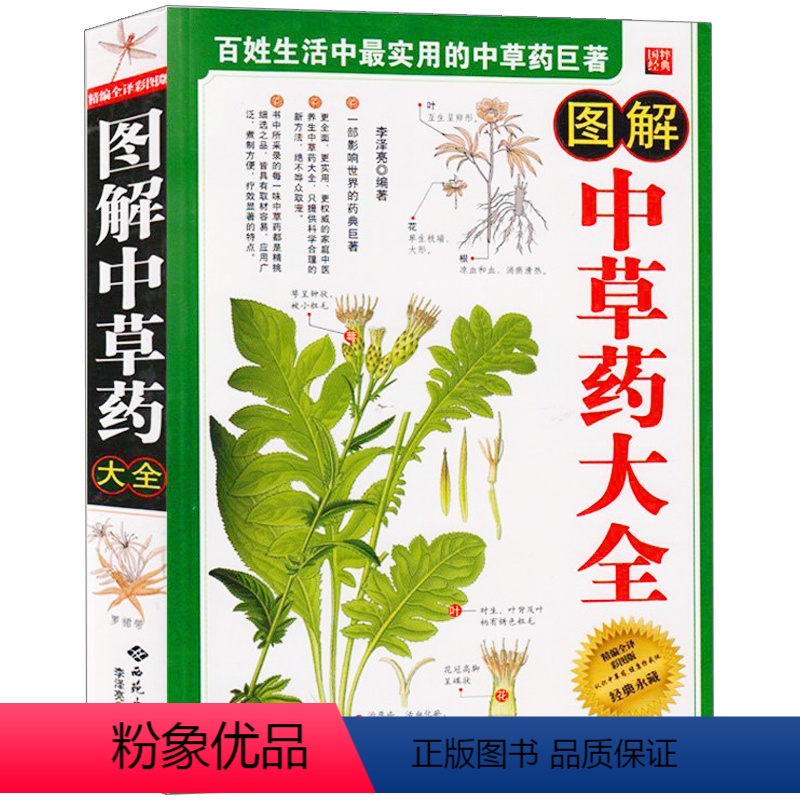 [正版] 图解中草药大彩图版 中药大典 中药材识别图鉴书籍 中草药辨别图谱新手入门 中医辨识中草药中医医学书籍 家药典