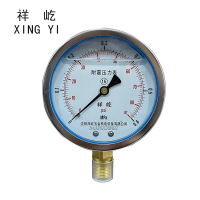 祥屹 耐震压力表 YTN100 块