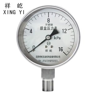 祥屹 不锈钢膜盒压力表检测定制型 YE100BF 块