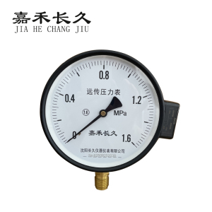 嘉禾长久 远传压力表 YTZ150 个