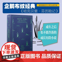 哈克贝里 芬历险记 马克·吐温 著 小说