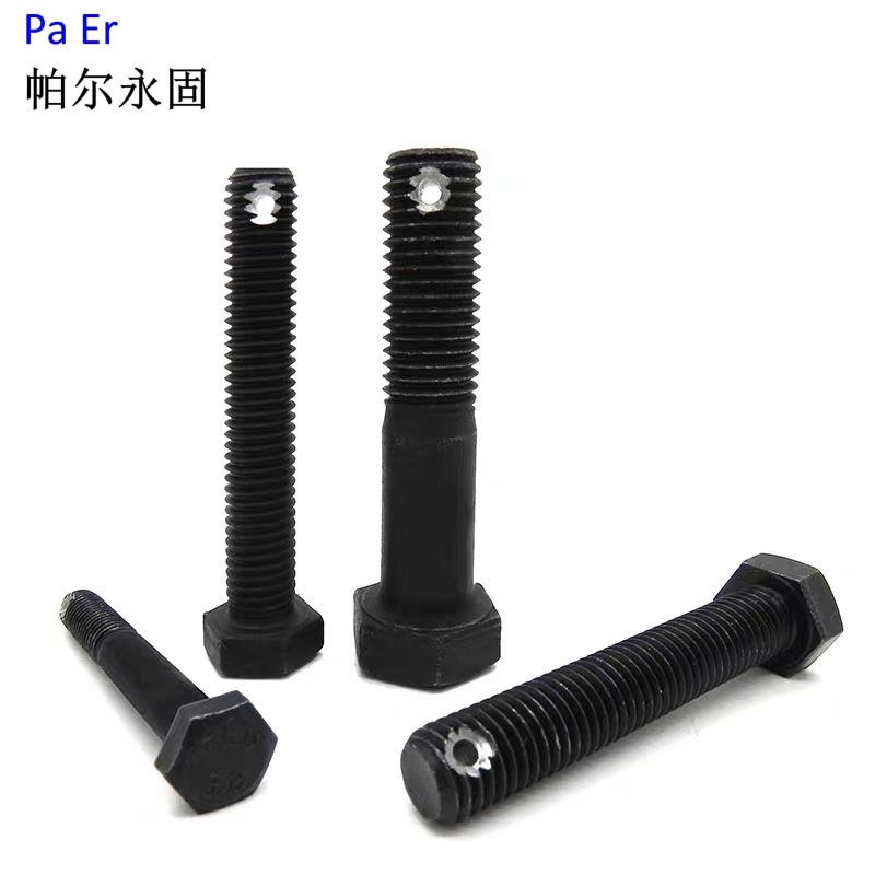 帕尔永固 六角头螺杆带孔螺栓A-B级16*80 个