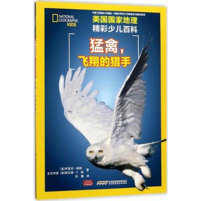 猛禽,飞翔的猎手